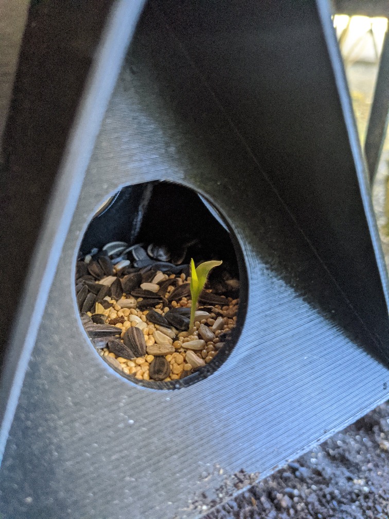 Closeup of the birdhouse with seed on the interior.